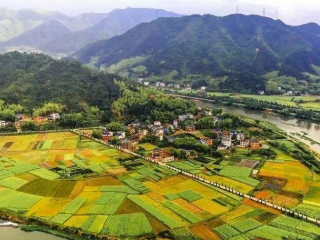 近日，甘肅省人民政府辦公廳關(guān)于對(duì)省鄉(xiāng)村振興局（原省扶貧辦）、省農(nóng)業(yè)農(nóng)村廳、省教育廳、玉門(mén)市、卓尼縣予以表?yè)P(yáng)的通報(bào)。根據(jù)《國(guó)務(wù)院辦公廳關(guān)于對(duì)2020年落實(shí)有關(guān)重大政策措施真抓實(shí)干成效明顯地方予以督查激勵(lì)